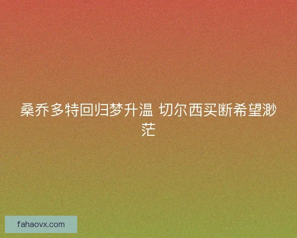 桑乔多特回归梦升温 切尔西买断希望渺茫